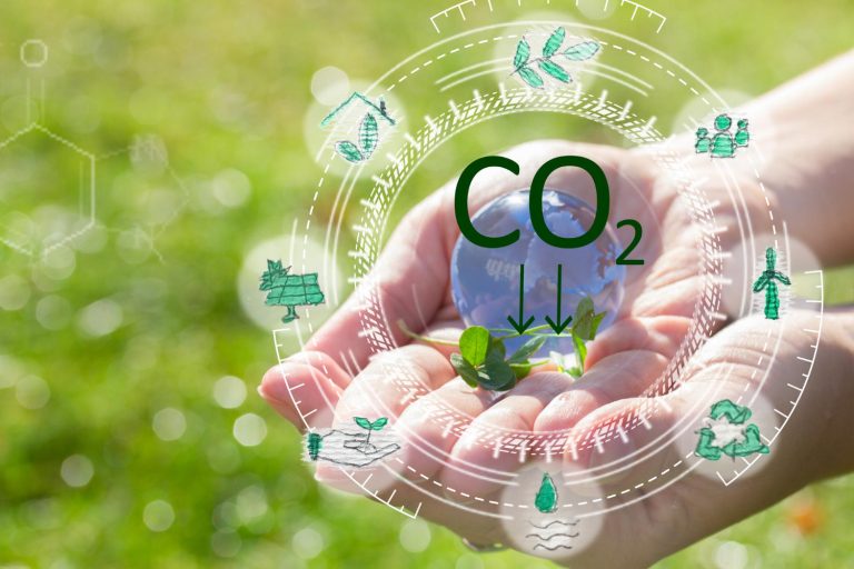 Cómo reducir la huella de carbono: 4 consejos para tu día a día